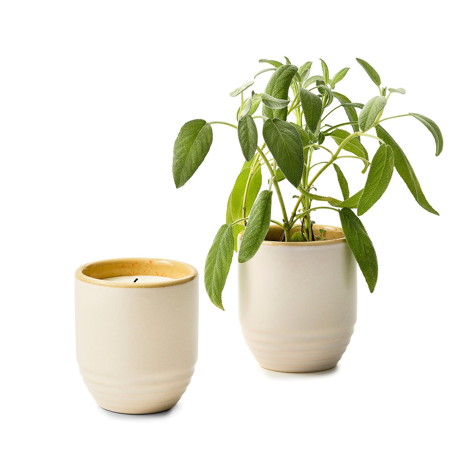 Modern Sprout® Garden Vibes Candle/Planter