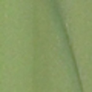 https://d2mc6m556yktpy.cloudfront.net/media/f8696f8d-4966-431d-aeab-191e36cdcbc5/images/1500x1500/776b2281dc655521c28e764c9896330a.jpg